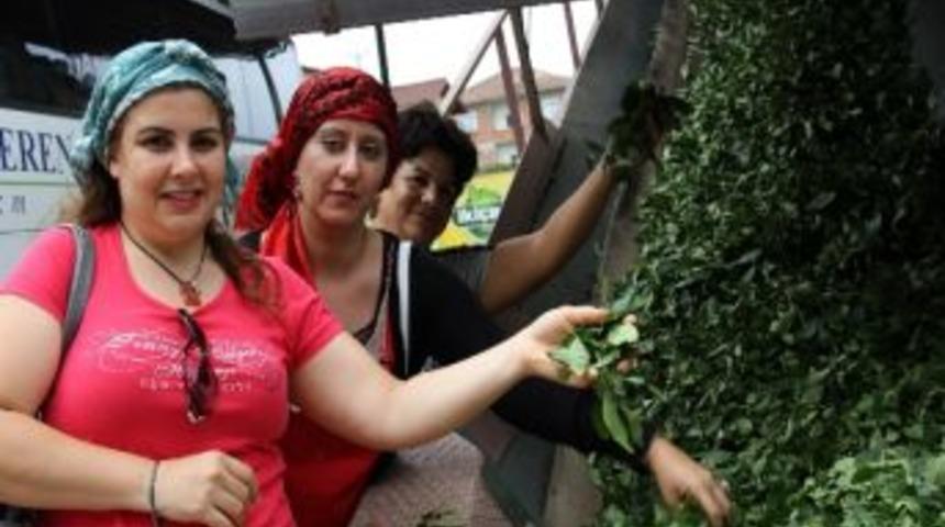 &Ccedil;ay Fabrikaları Yerli Ve Yabancı Turistlerin İlgisini &Ccedil;ekiyor