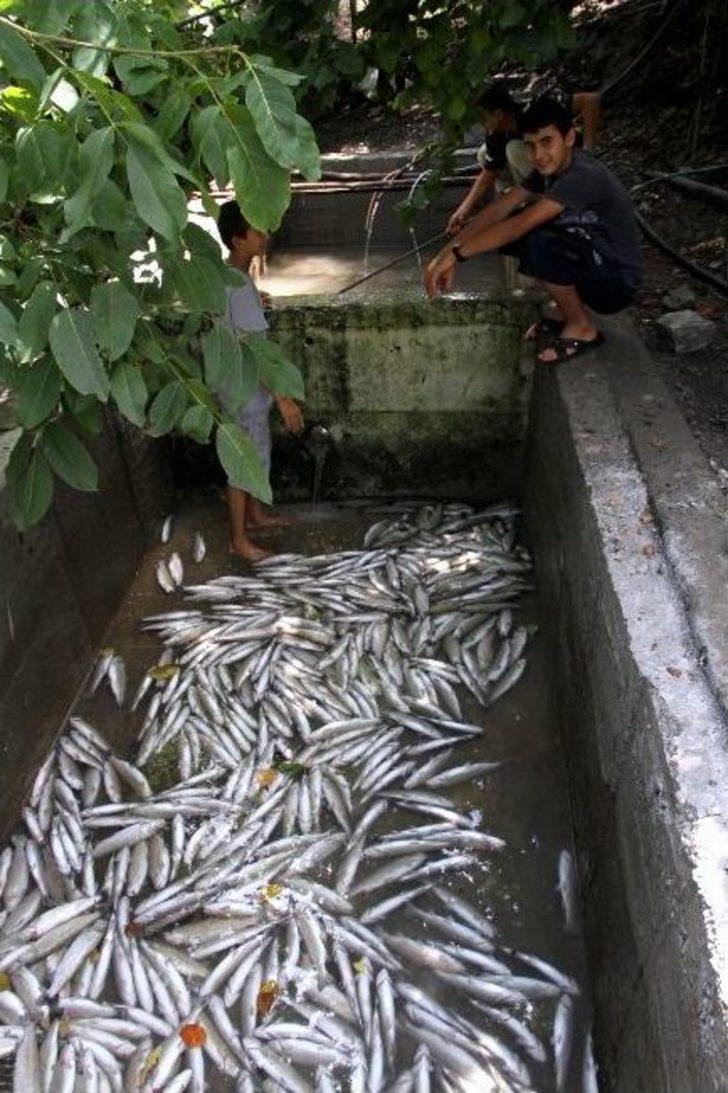 Sel Ve Heyelan Felaketi Yaşayan Çökek Yaylası Susuz Kaldı G2