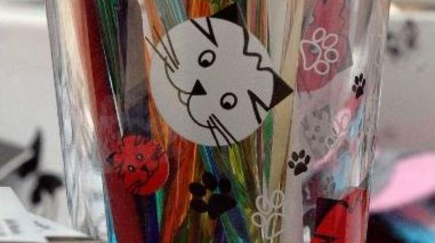 Eskişehir&rsquo;de Sokak Hayvanları Festivali