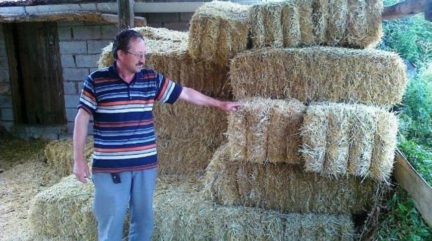 Ucuzlayan Saman Fiyatları Besiciyi Rahatlattı