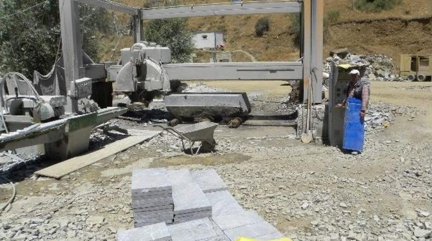 Avrupa &Uuml;lkelerinin Toros Siyahı Tutkusu