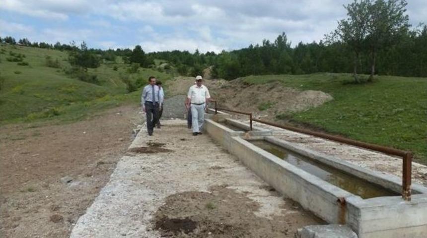 Yaman&rsquo;dan Mera Islah Alanlarında İnceleme