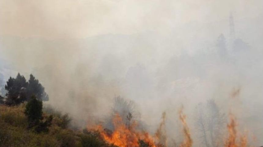 Seydişehir&rsquo;de Orman Yangını