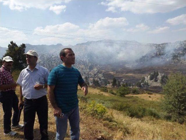 Seydişehir’de Orman Yangını