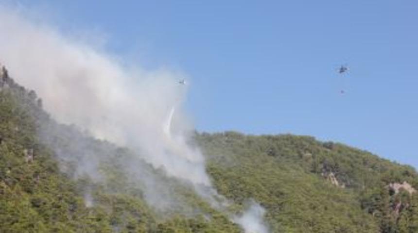 Oymapınar Yangının Yıldırım D&uuml;şmesi Sonucu Meydana Geldiği Kesinleşti