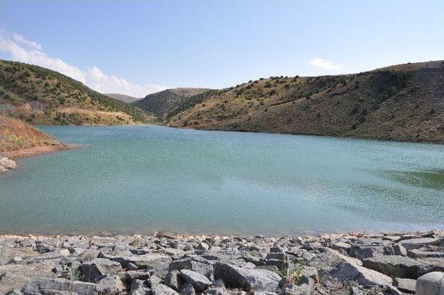 Sulu Tarım Köse’nin Talihini Değiştiriyor