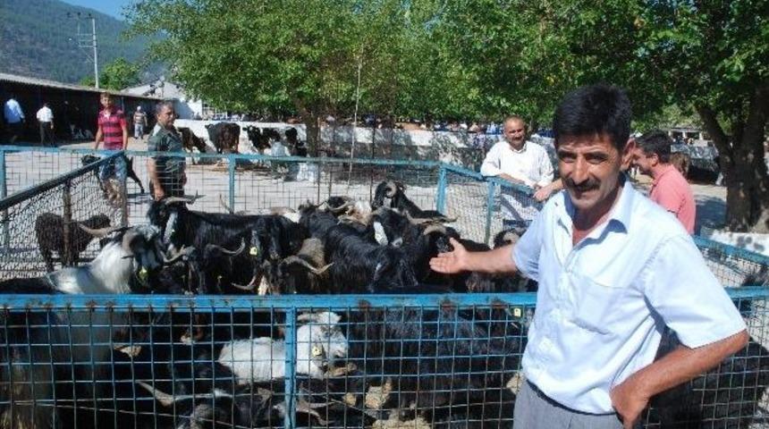 &Ccedil;aldıkları Ke&ccedil;ilerle Sadece 5 Saat Ka&ccedil;abildiler