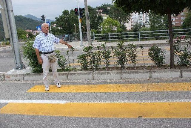 Bir Karadeniz Klasiği Yaya Geçidi Daha