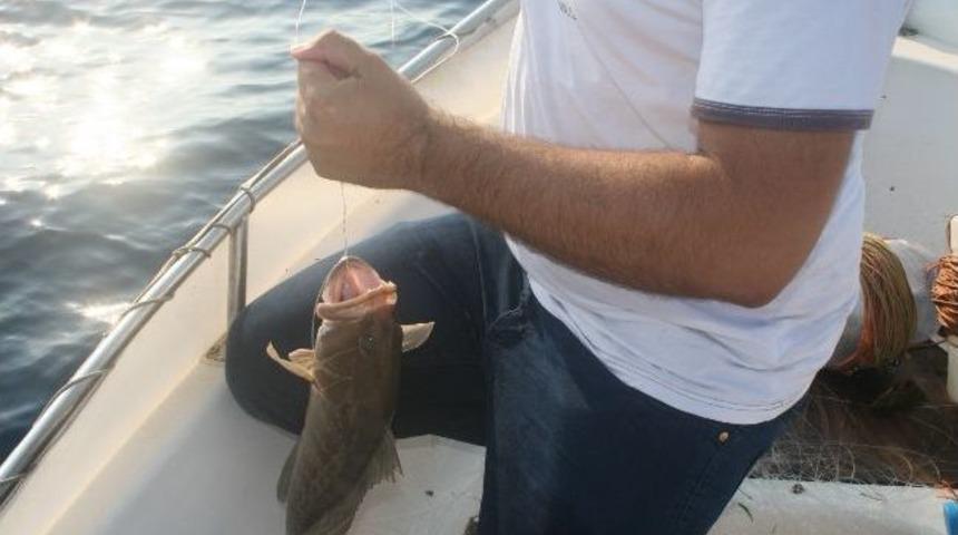 Orfoz Ve Lahos Yasağı Devam Ediyor