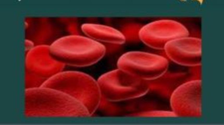 Malatya&rsquo;da Pediatri Okulu A&ccedil;ılacak