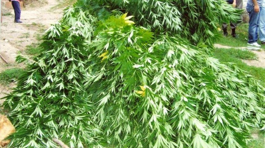 Trabzon'da Uyuşturucu Operasyonu