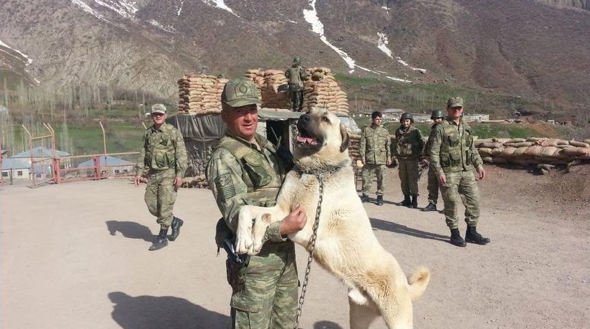 Kalp Krizi Sonucu &Ouml;len Uzman &Ccedil;avuş Toprağa Verildi