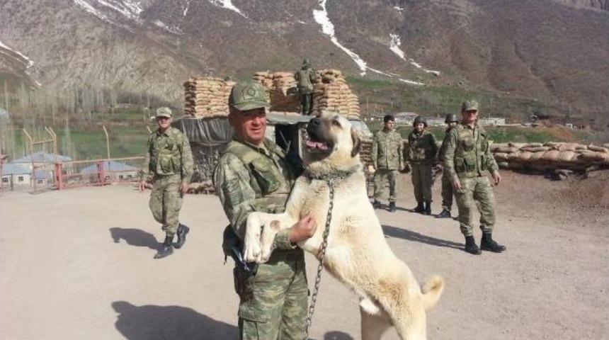 Kalbine Yenilen Uzman &Ccedil;avuş Memleketinde Toprağa Verildi