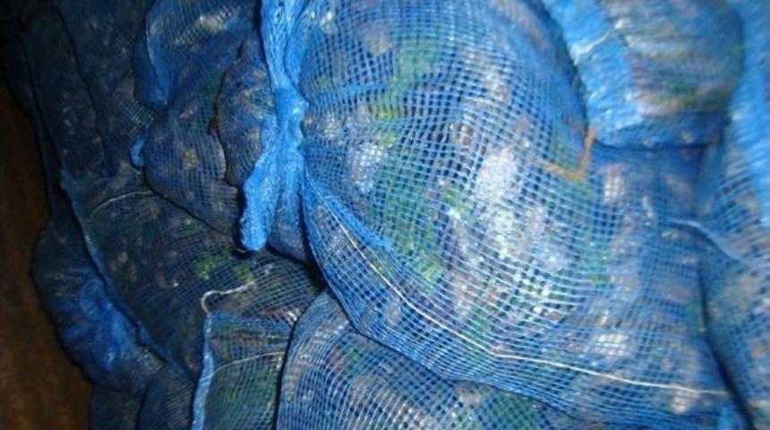 1 Kamyon Dolusu Ka&ccedil;ak Midye Ele Ge&ccedil;irildi