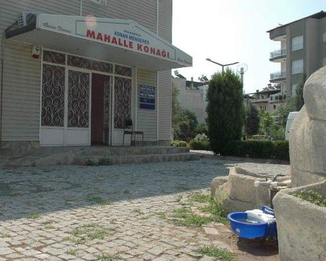 Aydın Belediyesi’nden Sokak Hayvanlarına Örnek Uygulama