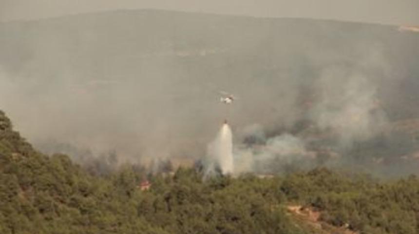 Osmaneli'de 20 hektar orman yandı
