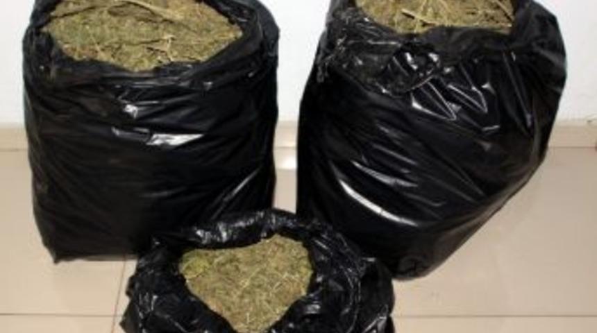 Gaziantep'te Uyuşturucu Operasyonları