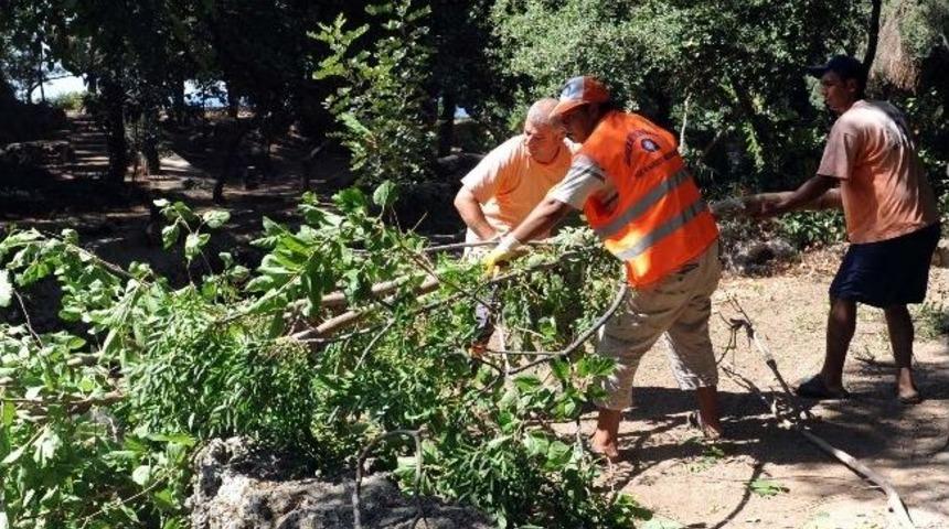 Kuğulu Park Temizleniyor