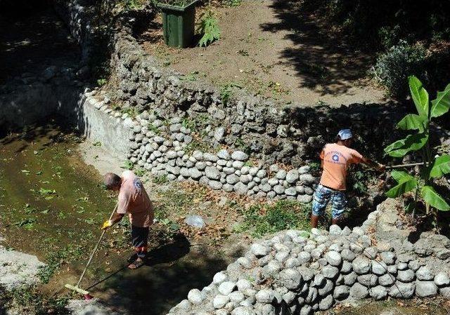 Kuğulu Park Temizleniyor