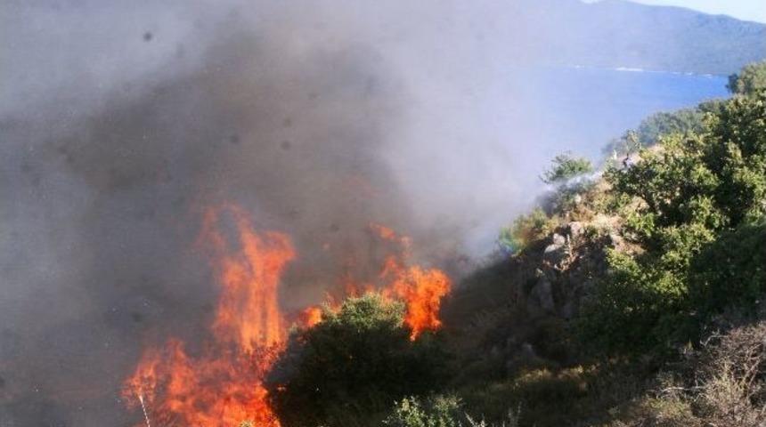 Bodrum&rsquo;da Maki Yangını Korkuttu