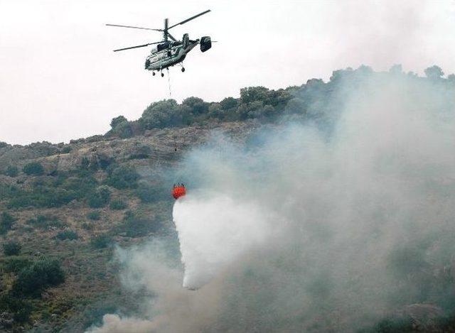 Bodrum’da Maki Yangını Korkuttu