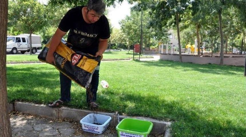 Salihli Belediyesi 1,5 Ton Mama Dağıttı