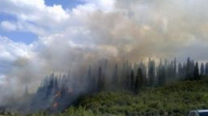 5 Hektarlık Alan K&uuml;l Oldu