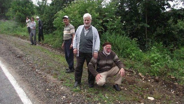 Ordu'da Trafik Kazası: 1 Ölü, 2 Yaralı