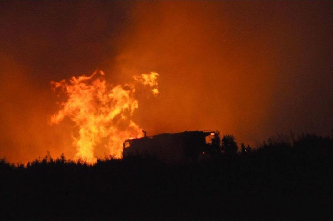 Aliağa'da &Ccedil;ıkan Orman Yangını Kontrol Altına Alındı