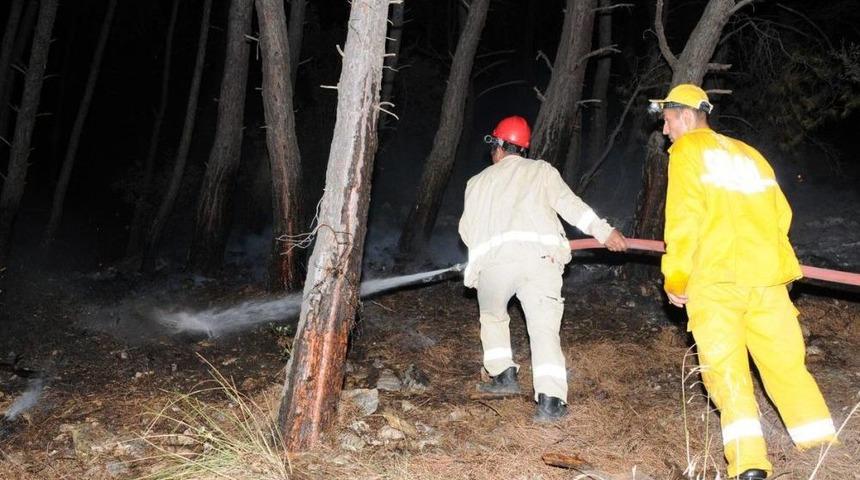 Antalya'daki Orman Yangını