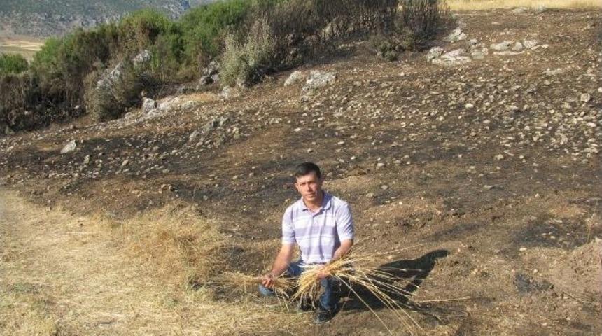 Kurumuş Otlar Yangınları Tetikliyor