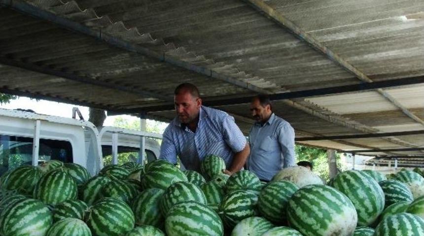 Karpuz &Uuml;reticisinin Y&uuml;z&uuml; G&uuml;l&uuml;yor
