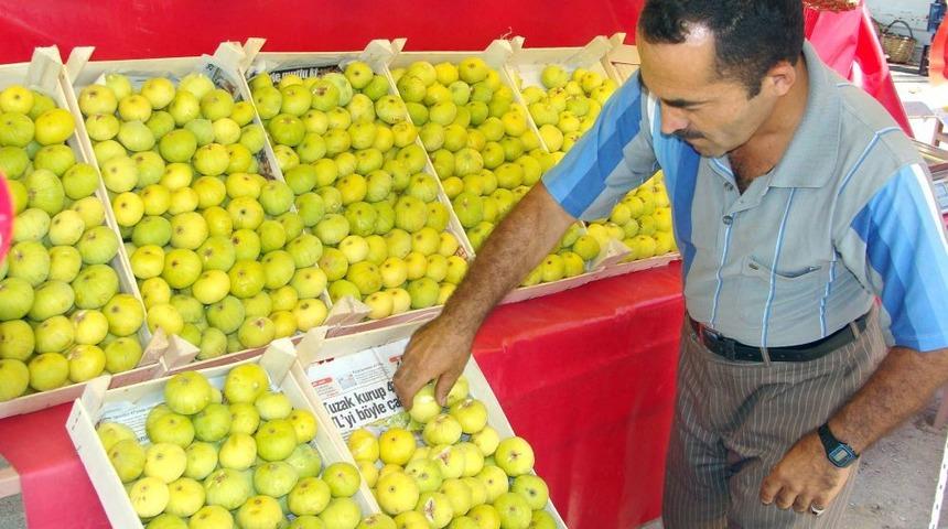 Taze Incir Tezg&acirc;hta