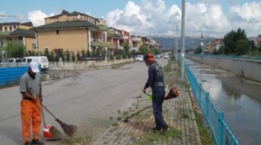 Kaldırımlarda Ot Temizliği