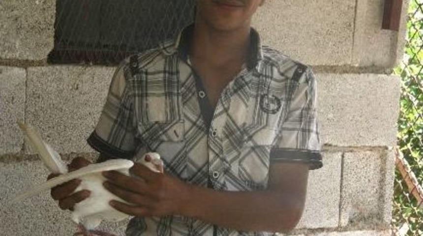 Kilis'te G&uuml;vercin Yetiştiriciliğine Rağbet Artıyor