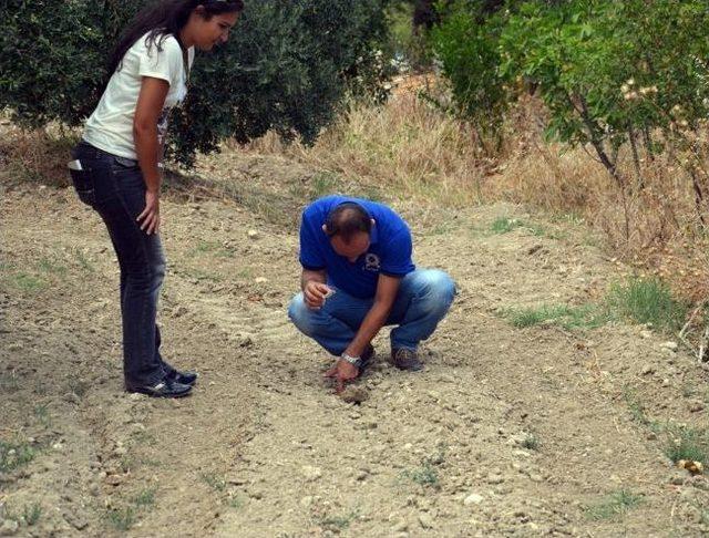 Gelibolu’da Gerçek Şehitlikler Ortaya Çıkıyor