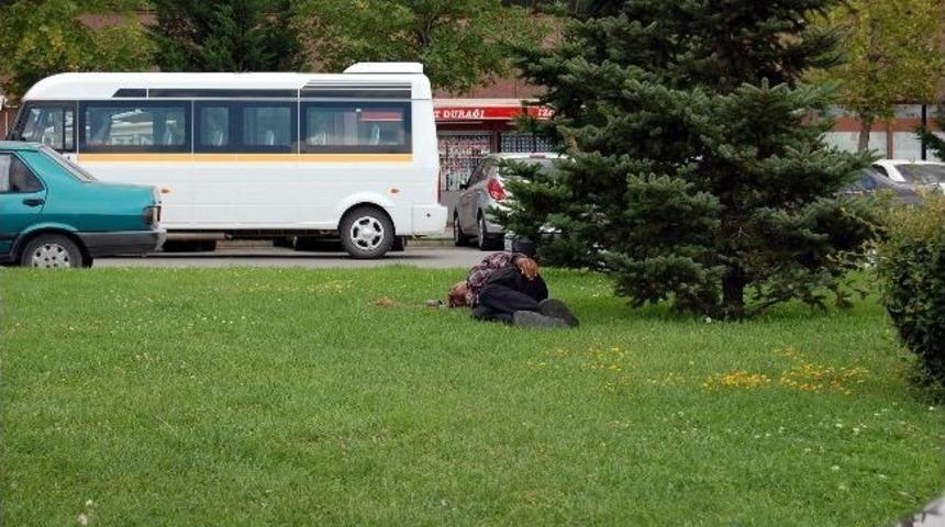 Ramazan Ayı Ağa&ccedil; G&ouml;lgesinde Ge&ccedil;iyor