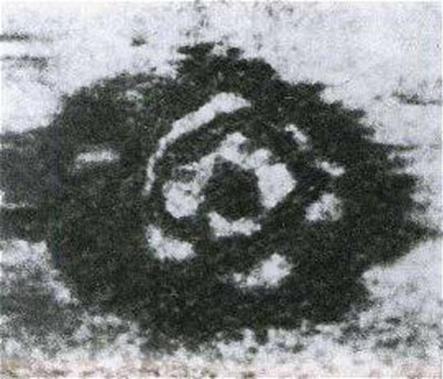 Meleğin fotoğrafı çekildi! 12