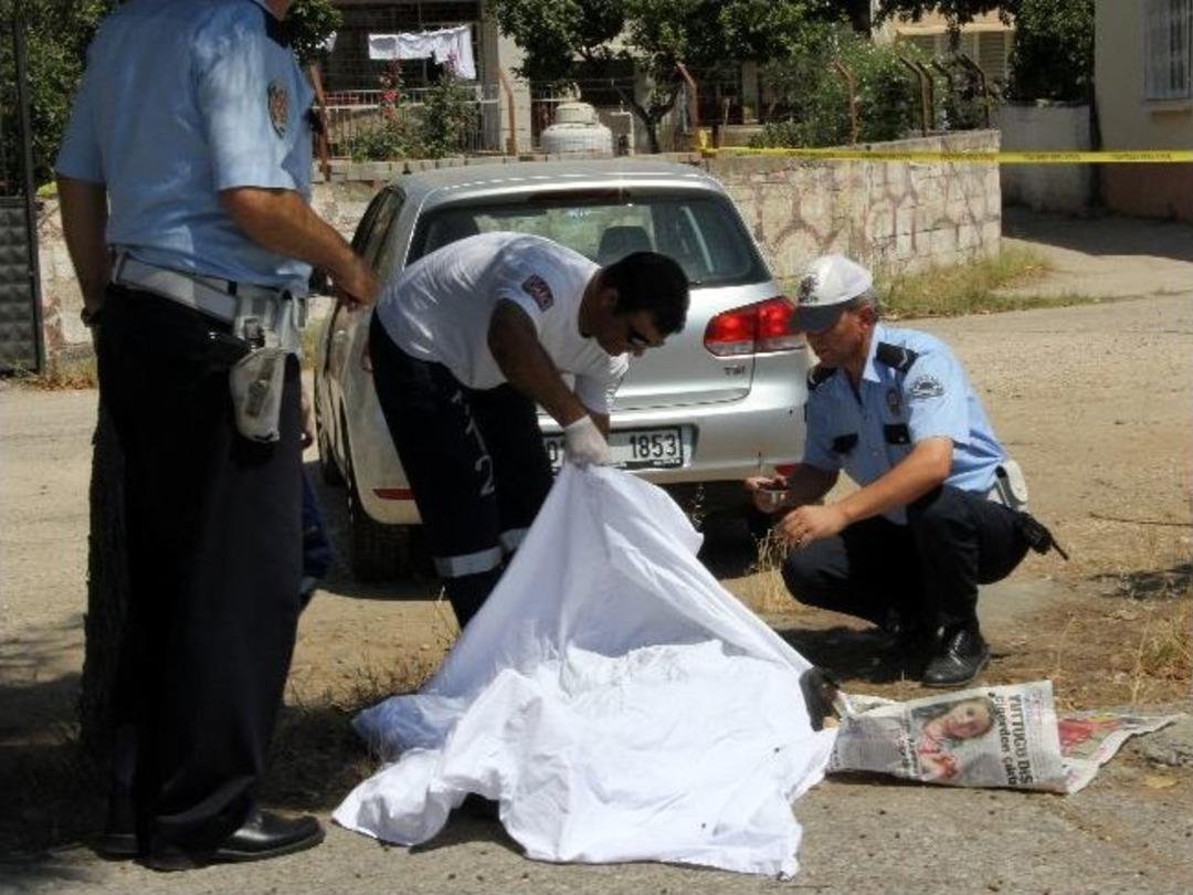 Ağa&ccedil; İle Ara&ccedil; Arasında Sıkışarak &Ouml;ld&uuml;