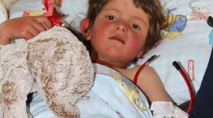 Kayıp Kız &Ccedil;ocuğunun Sağlık Durumu İyi