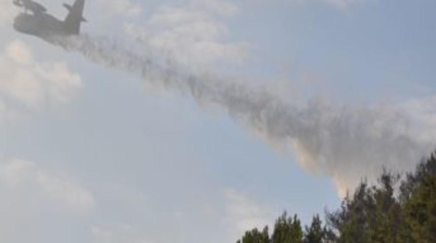 Alanya'da 7 Hektar Kızılçam Ormanı Kül Oldu