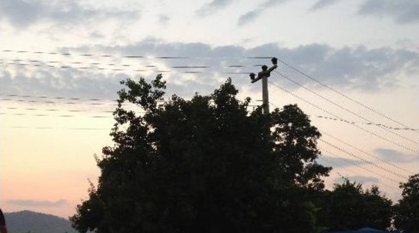 Ortaca&rsquo;da İftar Programları Devam Ediyor