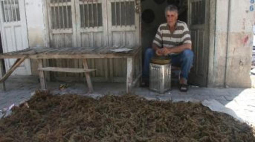 Kilis'te Summak Ekşisi Piyasada