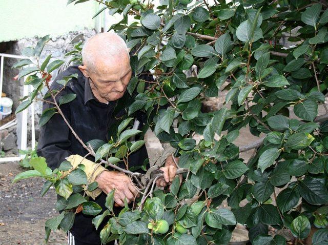 116 Yıllık Sağlıklı Yaşamını Çalışmaya Borçlu