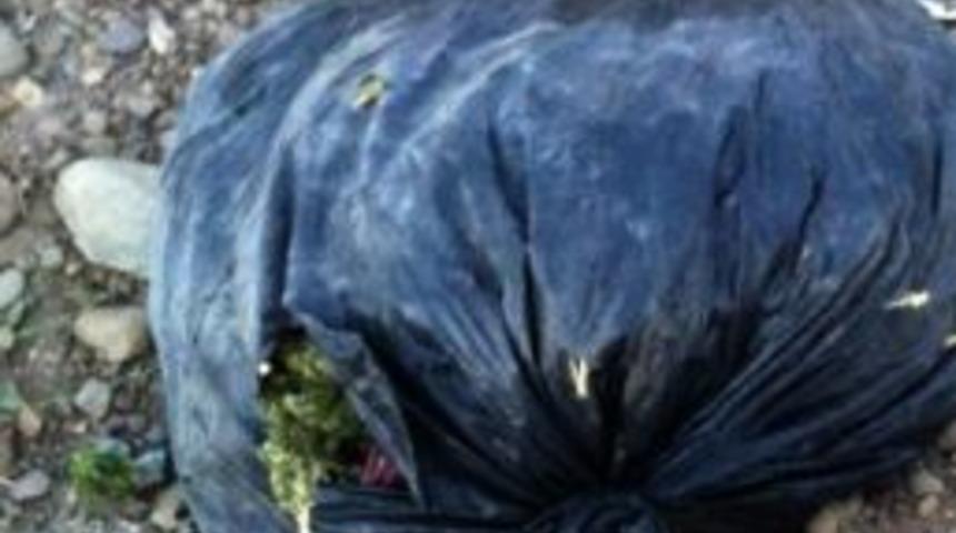 Muş&rsquo;ta 6 Kilo 875 Gram Esrar Ele Ge&ccedil;irildi