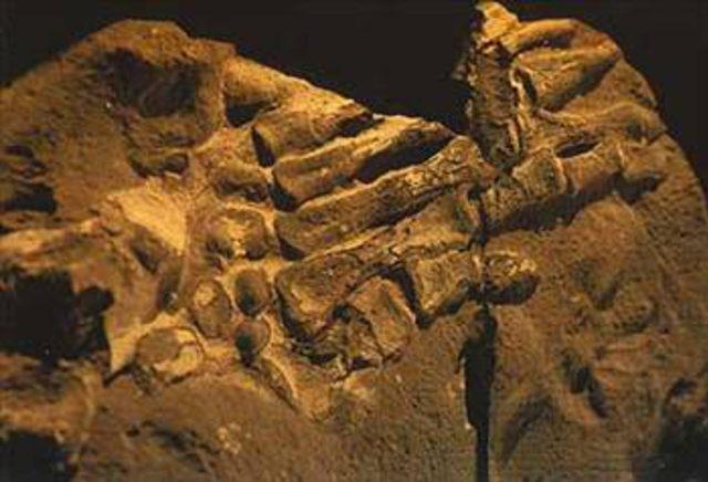 Meleğin fotoğrafı çekildi! 34