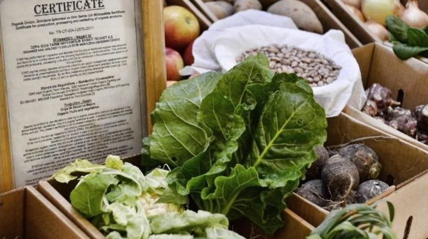 Ekolojik Pazar 4 Yaşında