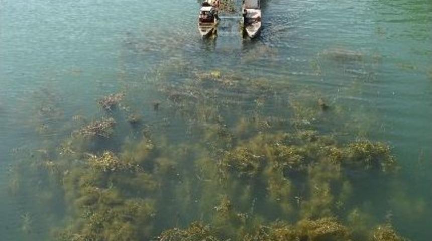 Seyhan Nehri Temizleniyor