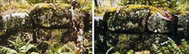 Meleğin fotoğrafı çekildi! 37