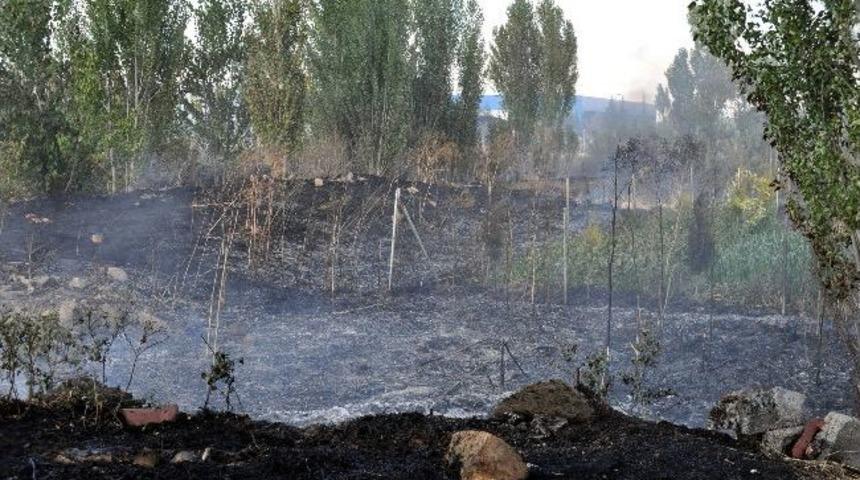 Eskişehir'de Ot Yangını Korkuttu